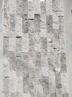 Piatra Decorativa Travertin Silver